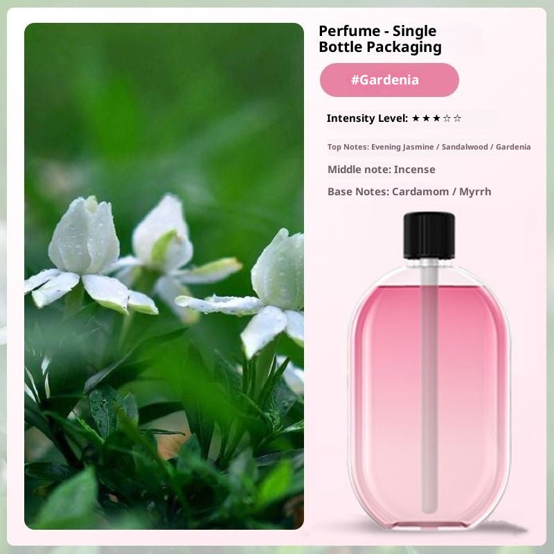 Wireless Aroma Diffuser – Auto Spray, LED Light, Rechargeable Wall Mount & Desktop